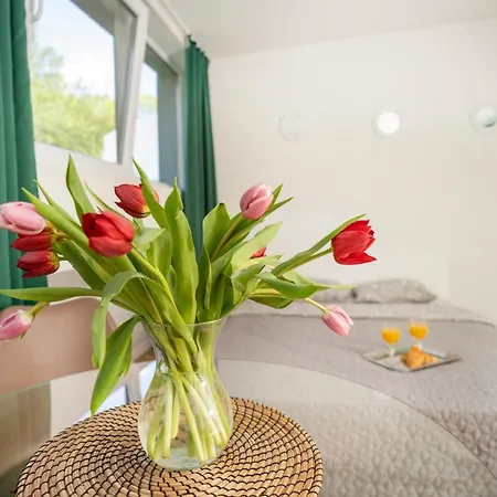 House 22a Lejlighedshotel Kaunas