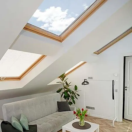 公寓式酒店 House 22a 考纳斯