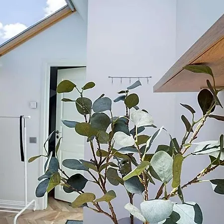 公寓式酒店 House 22a 3*